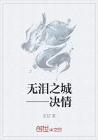 無淚之城——決情